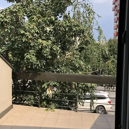 Cajka *